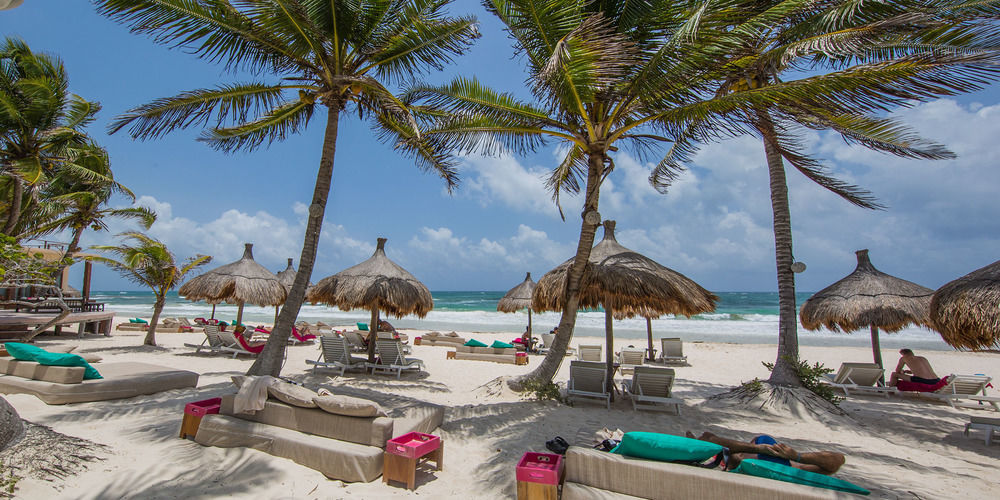 HOTEL LA ZEBRA | ⋆⋆⋆⋆⋆ | TULUM, MEXICO | SEASON DEALS FROM $398